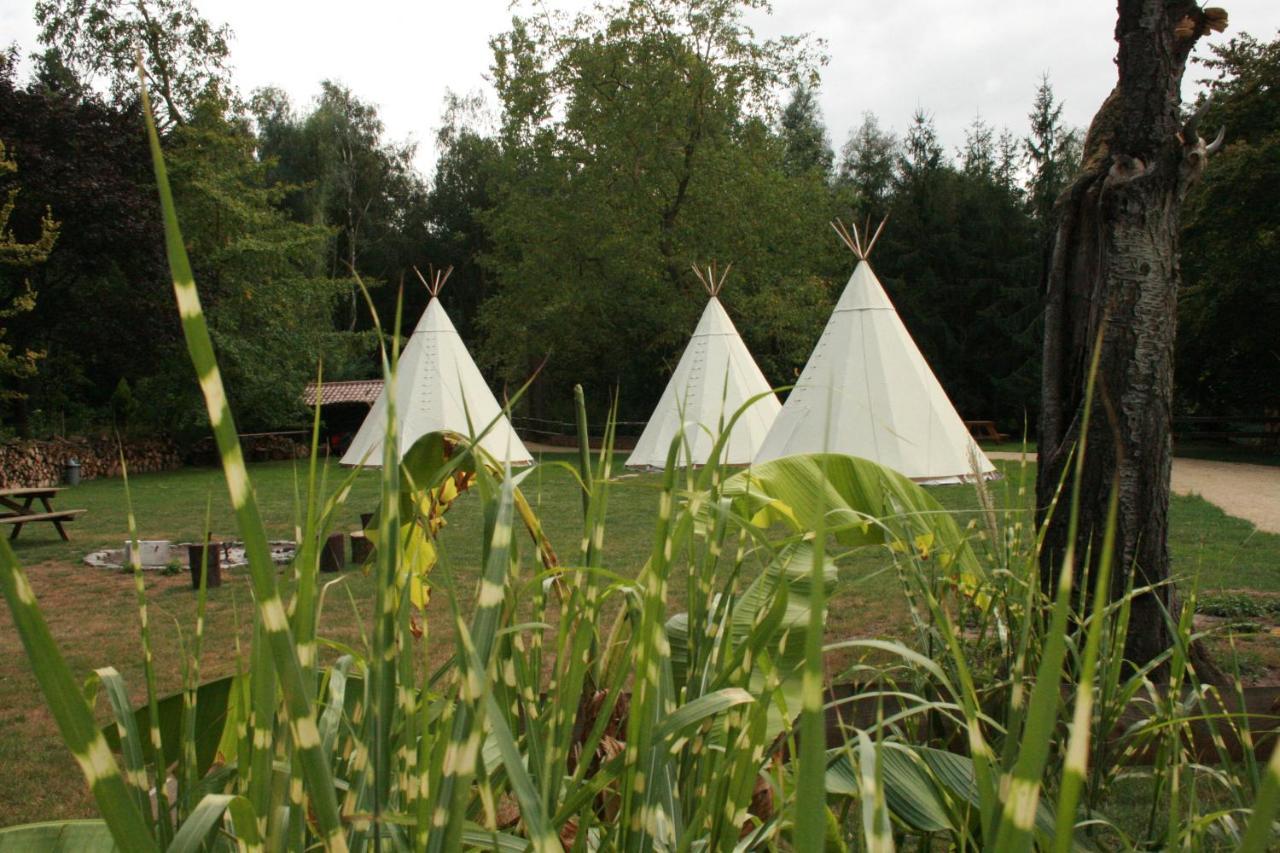 Hotel Domaine De Carnin Beloeil Zewnętrze zdjęcie